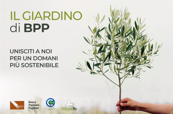 Il giardino di Banca Popolare Pugliese: nuovi ulivi per un futuro verde